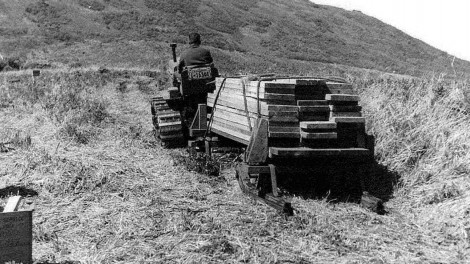 Tractor-hauling-weir-lumber-old-vintage-history-photo